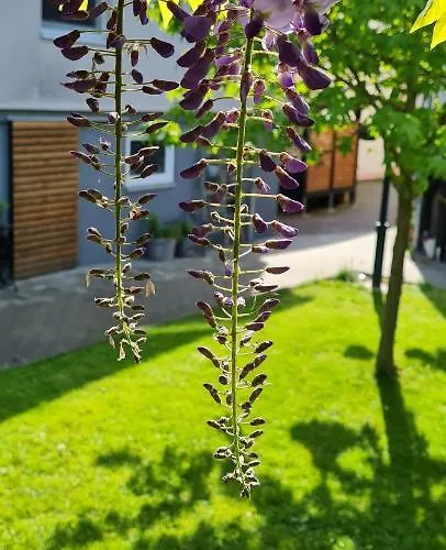 Apartmán Oliver Fritzlar